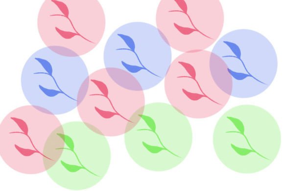 Brush 60 Set: A Practical Digital Asset Guide