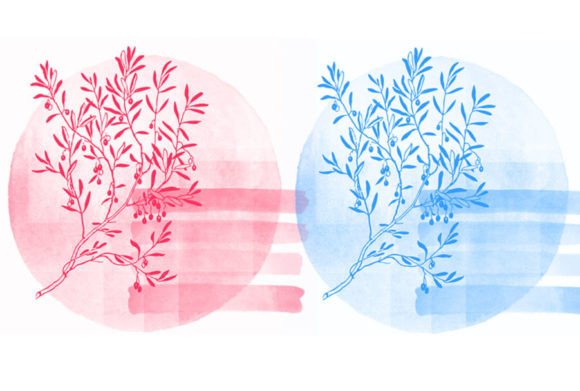 Brush 80: A Focused Digital Asset for Precision and Consistency