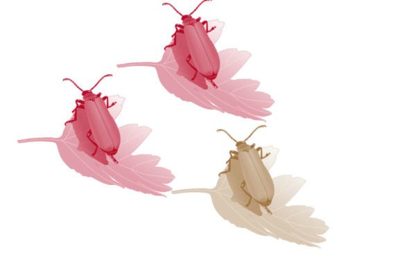 Mastering the Bug Brush for Digital Art