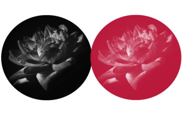 Understanding Brush 53: A Practical Guide to Digital Texture and Application